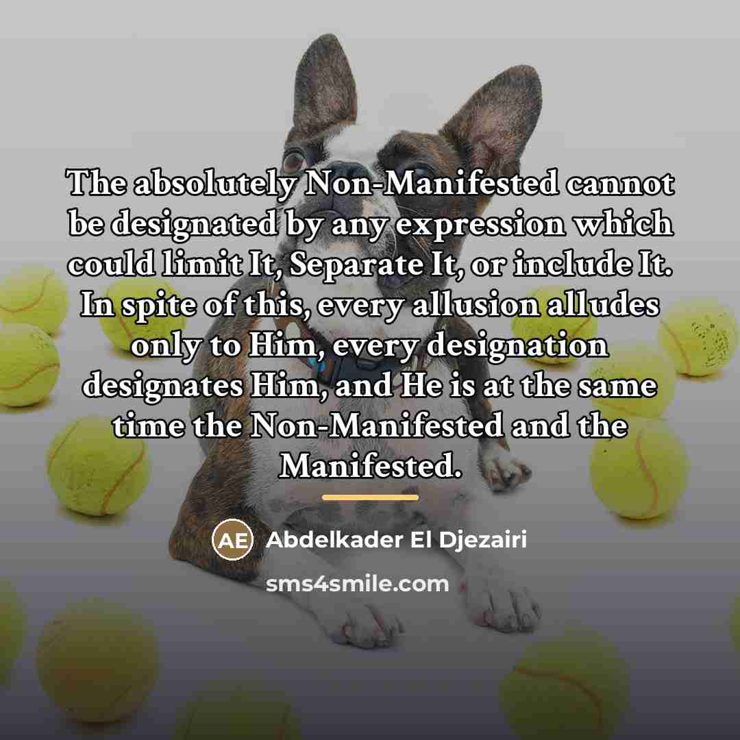 “The absolutely Non-Manifested cannot be designated by any expression which…” quote by Abdelkader El Djezairi