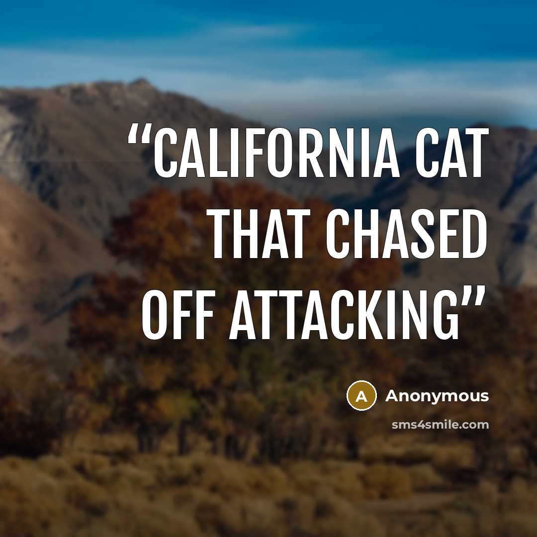 “California cat that chased off attacking” quote by Anonymous