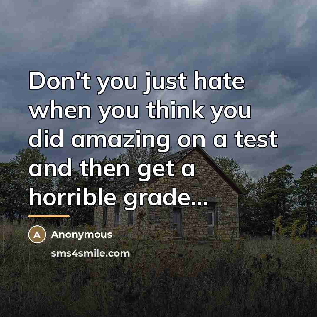 “Don't you just hate when you think you did amazing…” quote by Anonymous