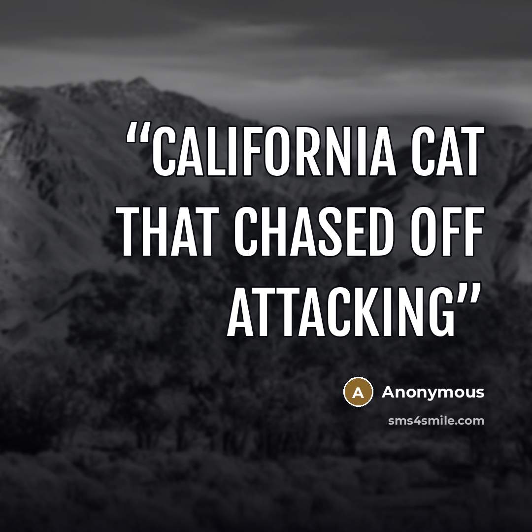 “California cat that chased off attacking” quote by Anonymous