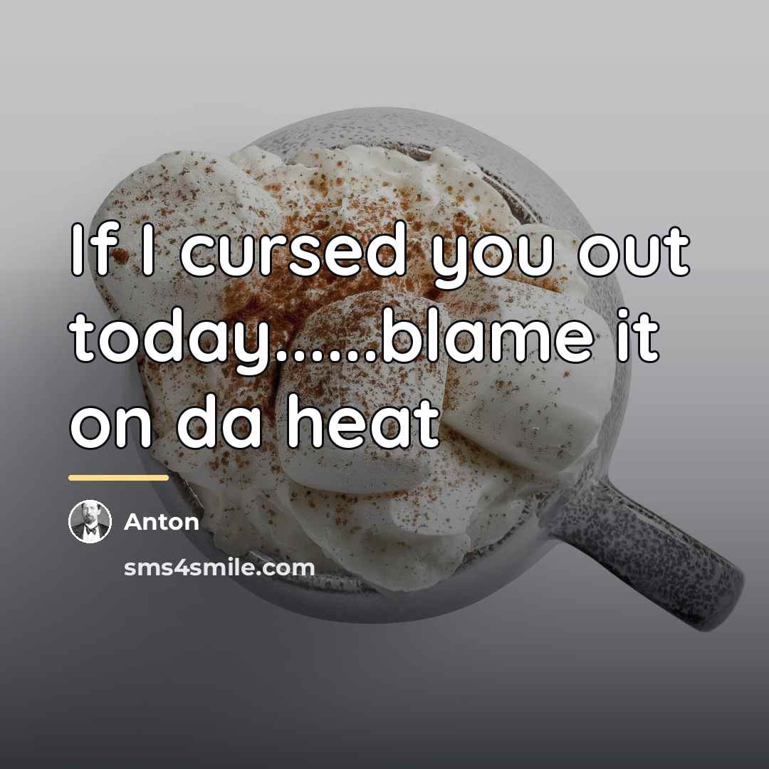 “If I cursed you out today......blame it on da heat…” quote by Anton