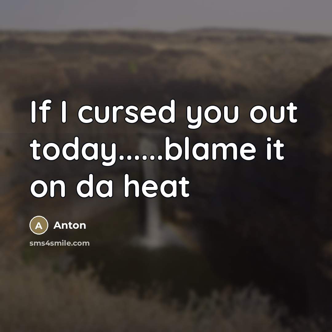 “If I cursed you out today…blame it on da heat” quote by Anton