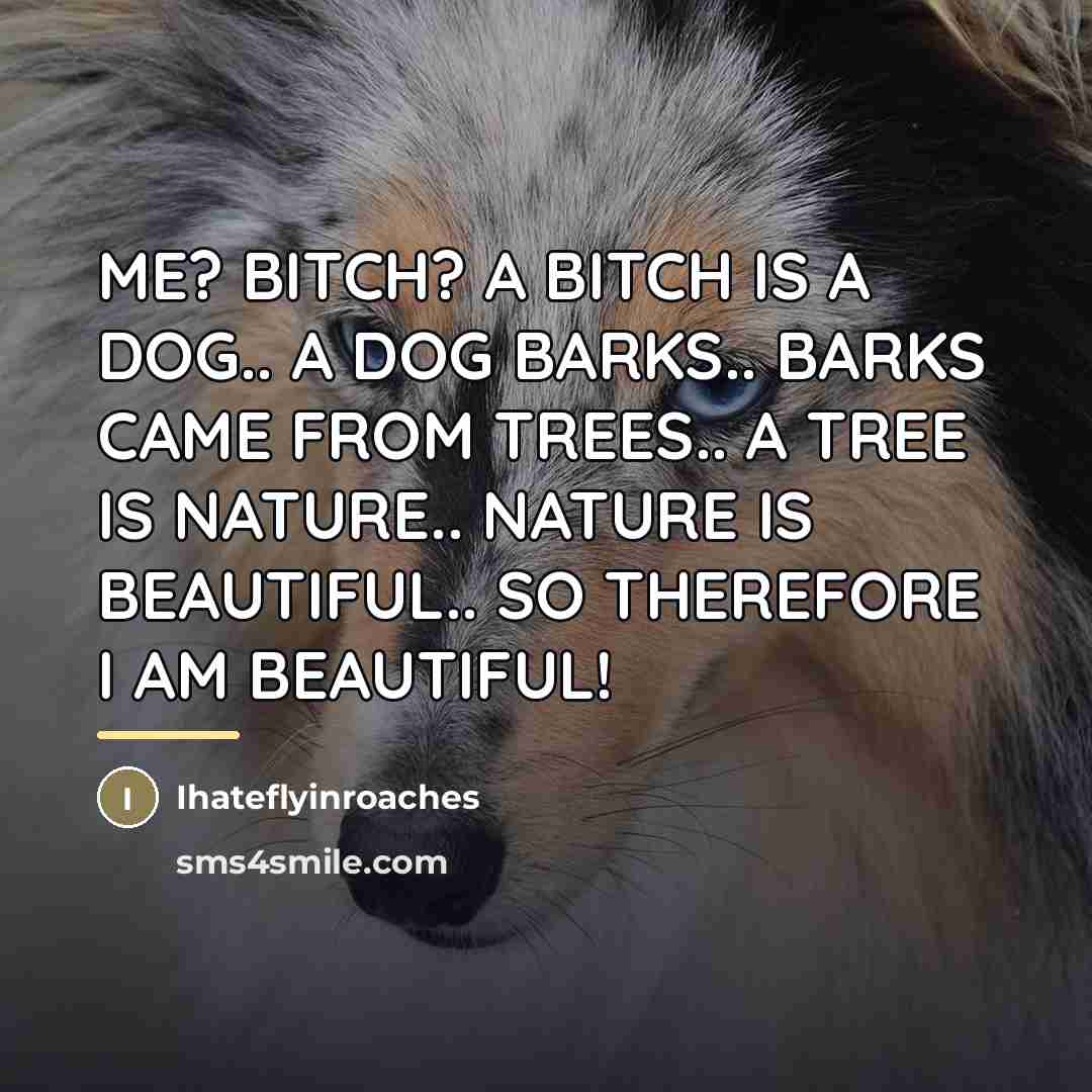 “ME? BITCH? A BITCH IS A DOG.. A DOG BARKS..…” quote by Ihateflyinroaches