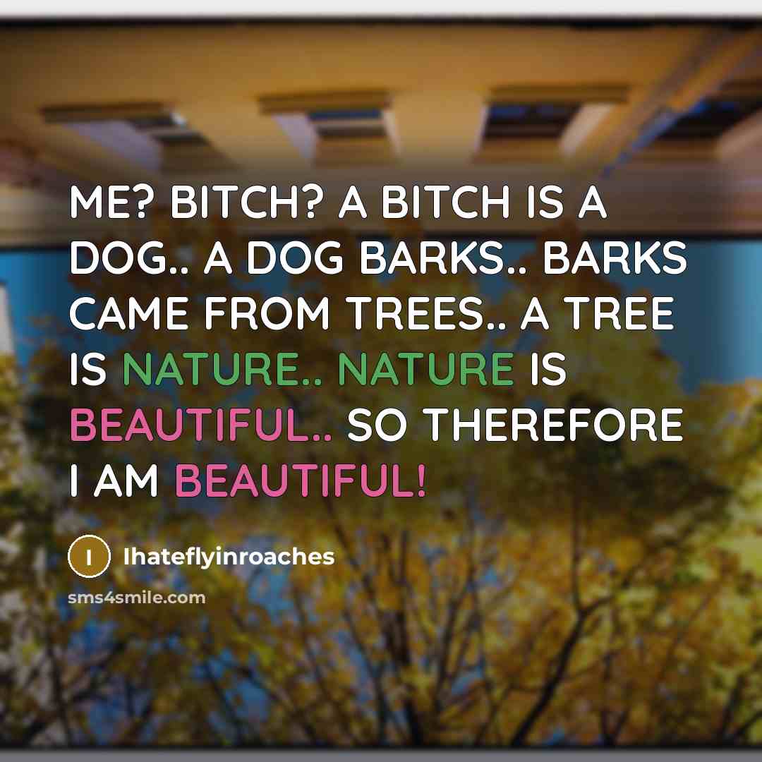 “ME? BITCH? A BITCH IS A DOG.. A DOG BARKS.. BARKS CAME FROM TREES.. A TREE IS NATURE.. NATURE IS BEAUTIFUL.. SO THEREFORE I AM BEAUTIFUL!” quote by Ihateflyinroaches