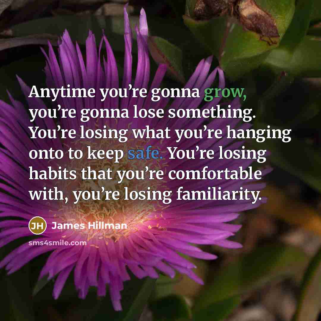 “Anytime you’re gonna grow, you’re gonna lose something. You’re losing…” quote by James Hillman