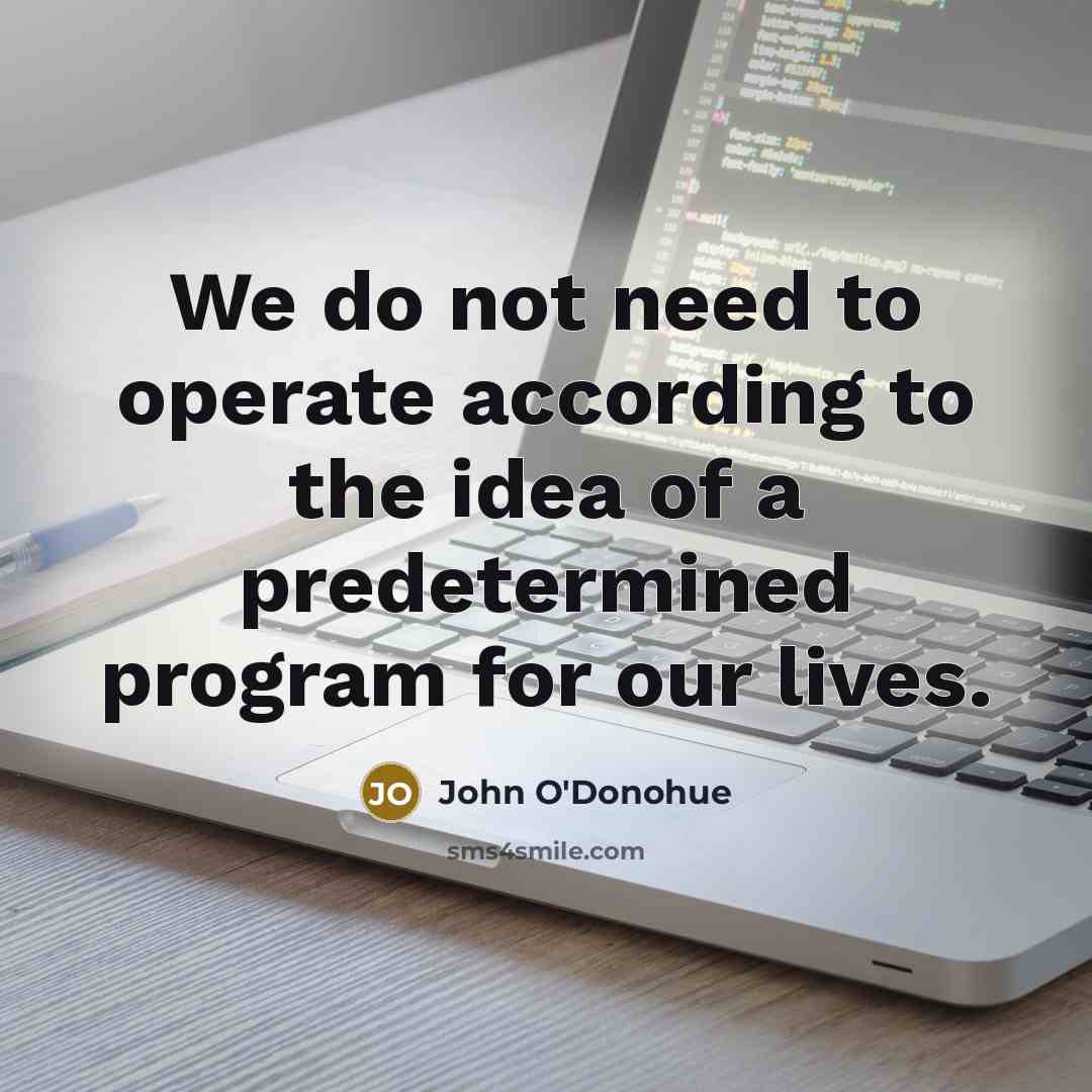 “We do not need to operate according to the idea…” quote by John O'Donohue