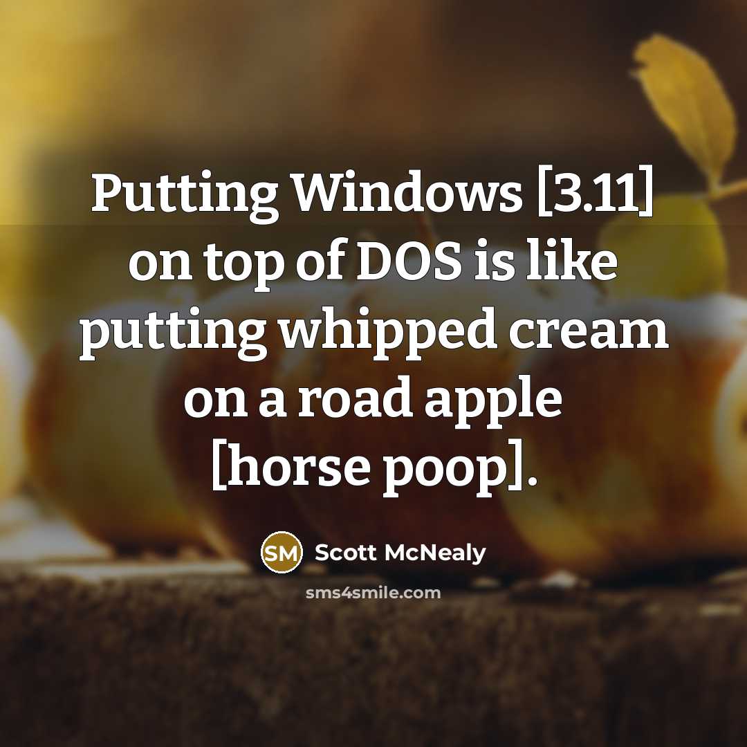 “Putting Windows [3.11] on top of DOS is like putting…” quote by Scott McNealy