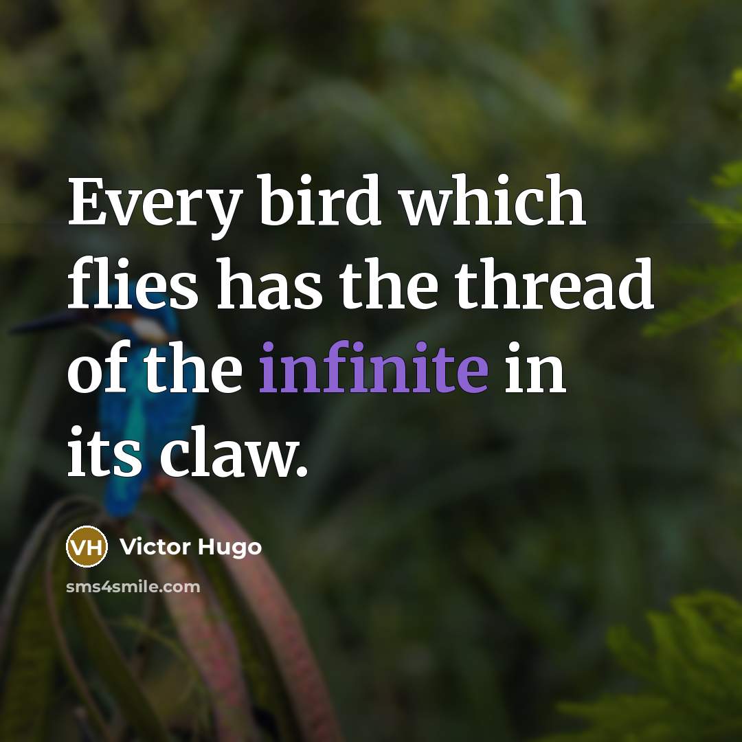 “Every bird which flies has the thread of the infinite…” quote by Victor Hugo
