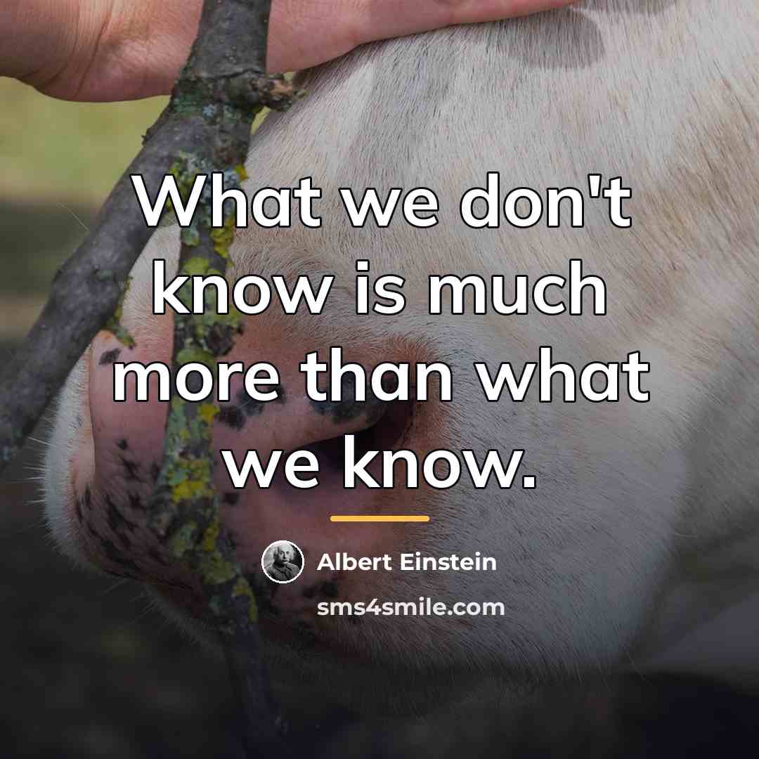 “What we don't know is much more than what we…” quote by Albert Einstein