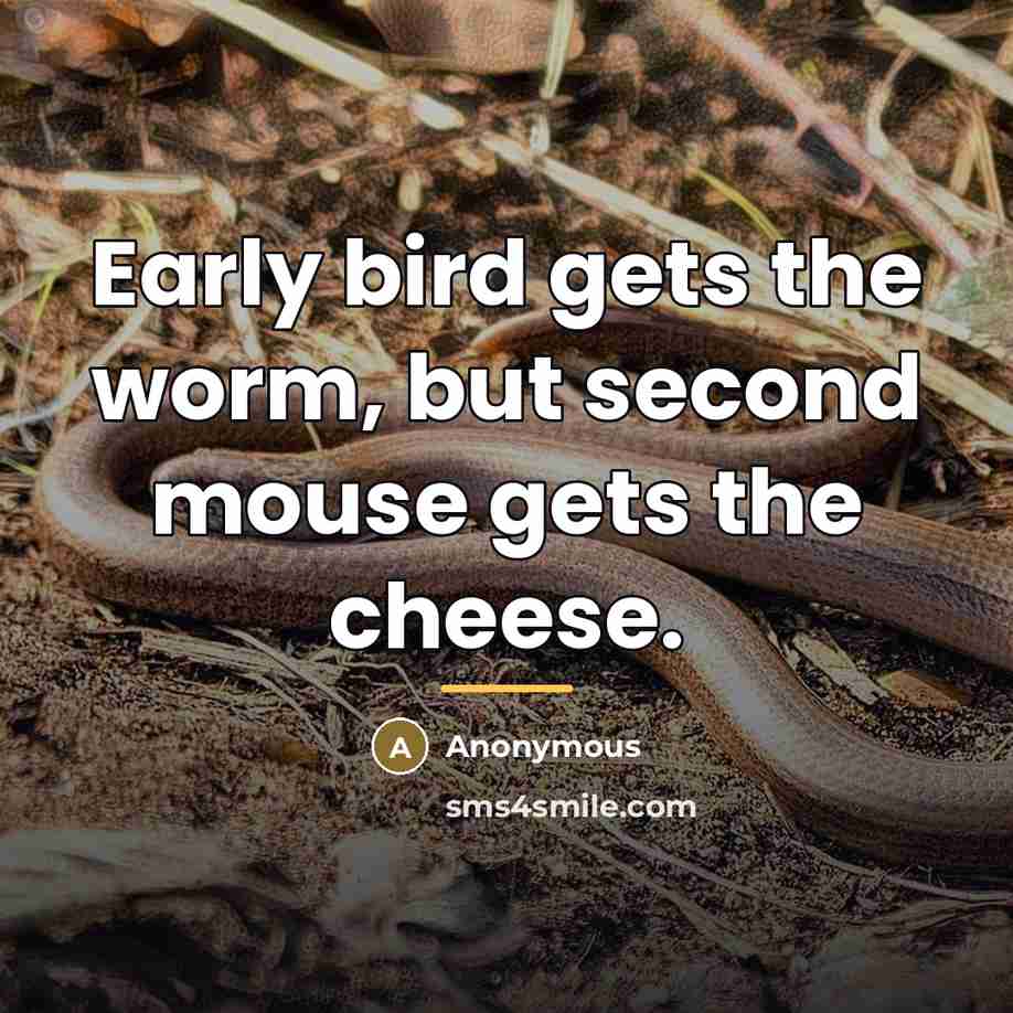 “Early bird gets the worm, but second mouse gets the…” quote by Anonymous