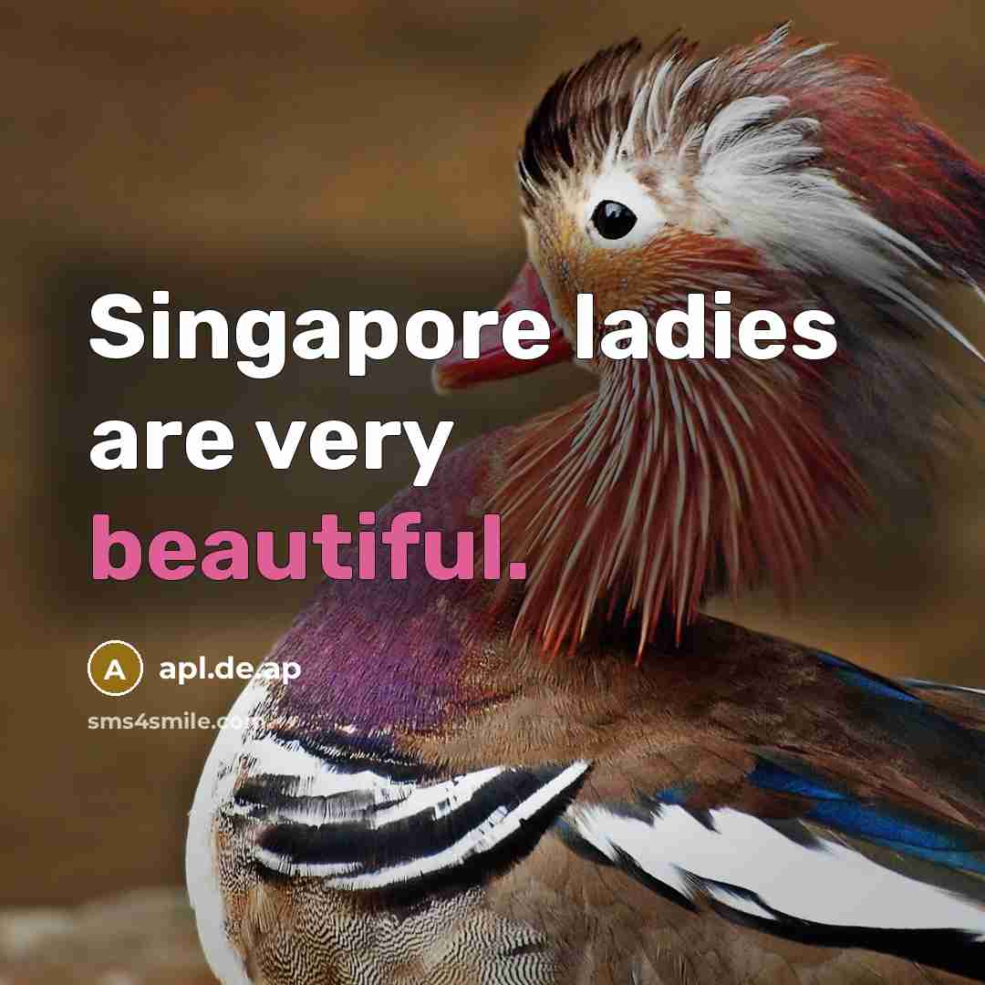 “Singapore ladies are very beautiful.…” quote by apl.de.ap