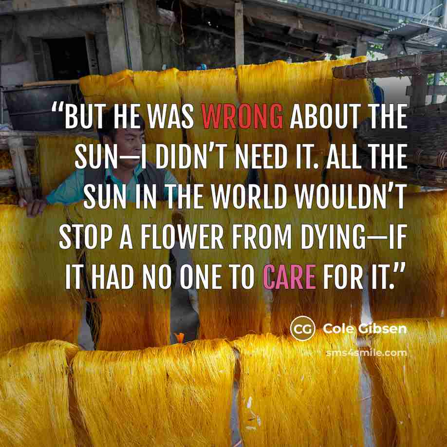 “But he was wrong about the sun—I didn’t need it. All the sun in the world wouldn’t stop a flower from dying—if it had no one to care for it.” quote by Cole Gibsen