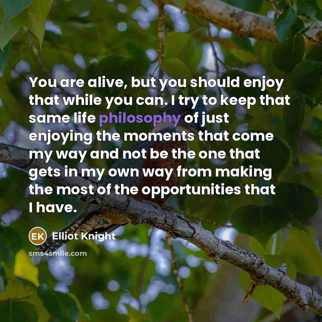 “You are alive, but you should enjoy that while you…” quote by Elliot Knight