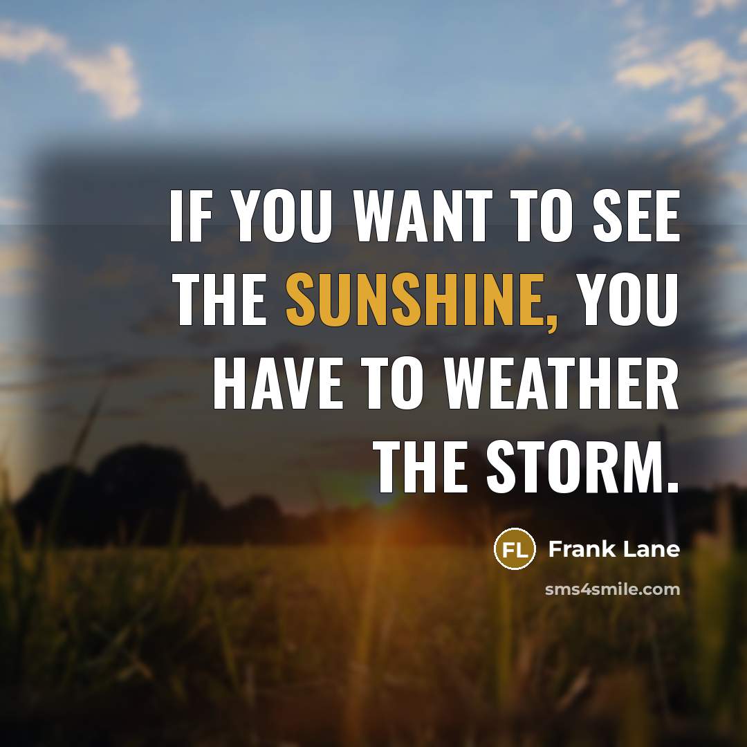 “If you want to see the sunshine, you have to…” quote by Frank Lane