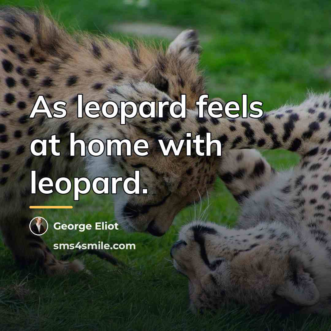 “As leopard feels at home with leopard.…” quote by George Eliot