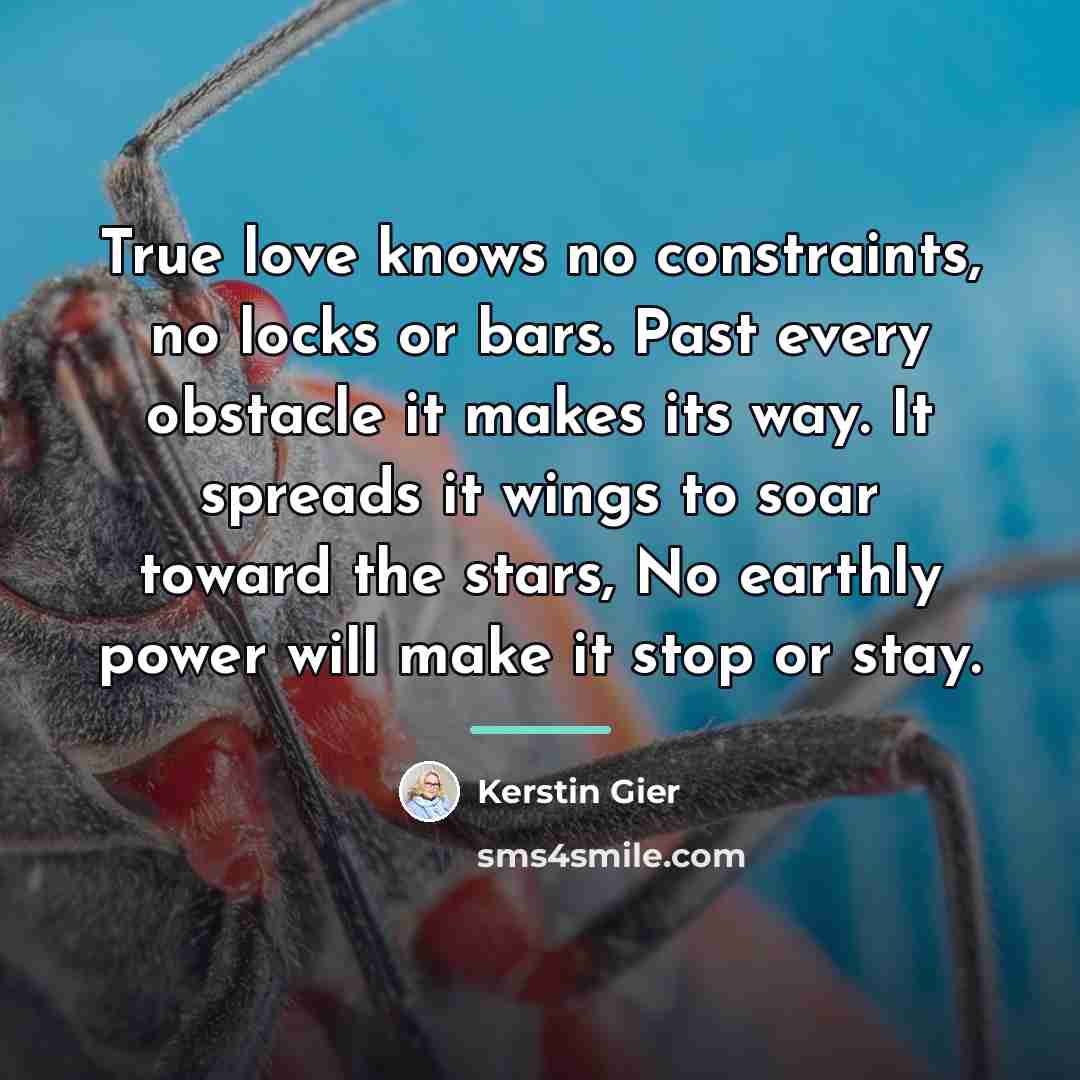 “True love knows no constraints, no locks or bars. Past…” quote by Kerstin Gier