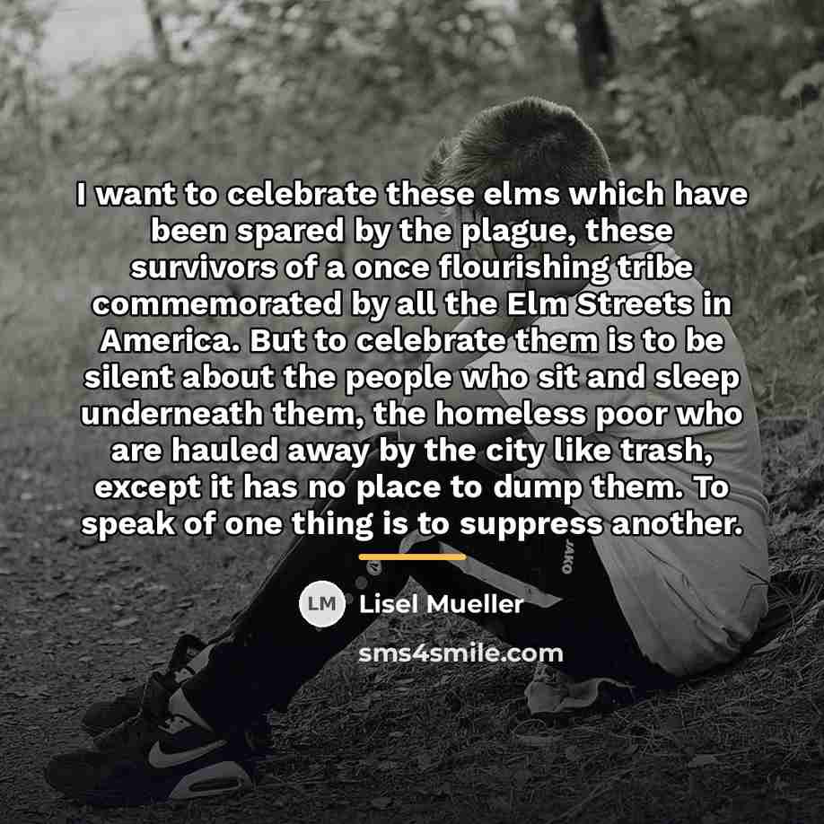 “I want to celebrate these elms which have been spared…” quote by Lisel Mueller
