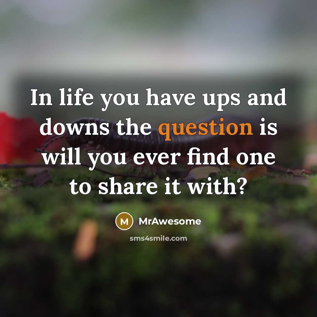 “In life you have ups and downs the question is…” quote by MrAwesome