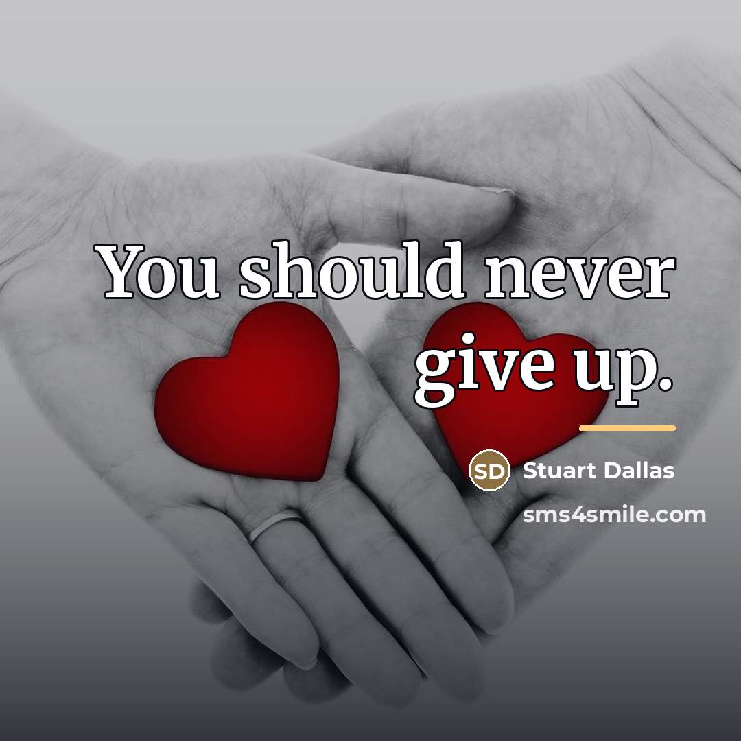 “You should never give up.…” quote by Stuart Dallas