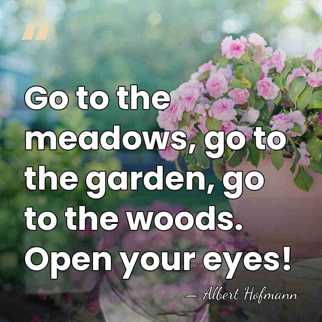 Go to the meadows, go to the garden, go to the woods.&hellip; - Albert Hofmann