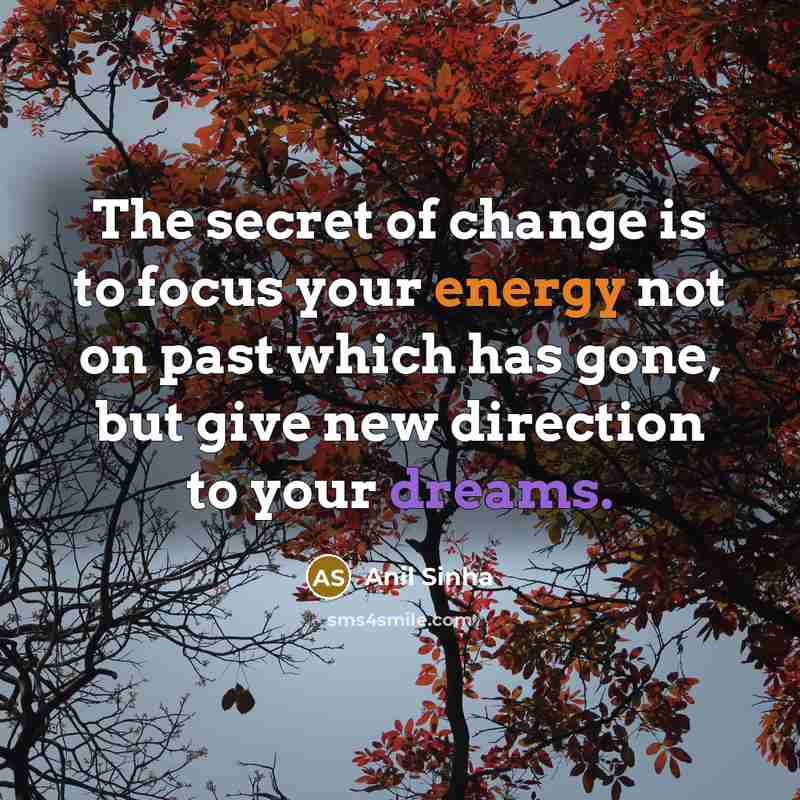 “The secret of change is to focus your energy not…” quote by Anil Sinha