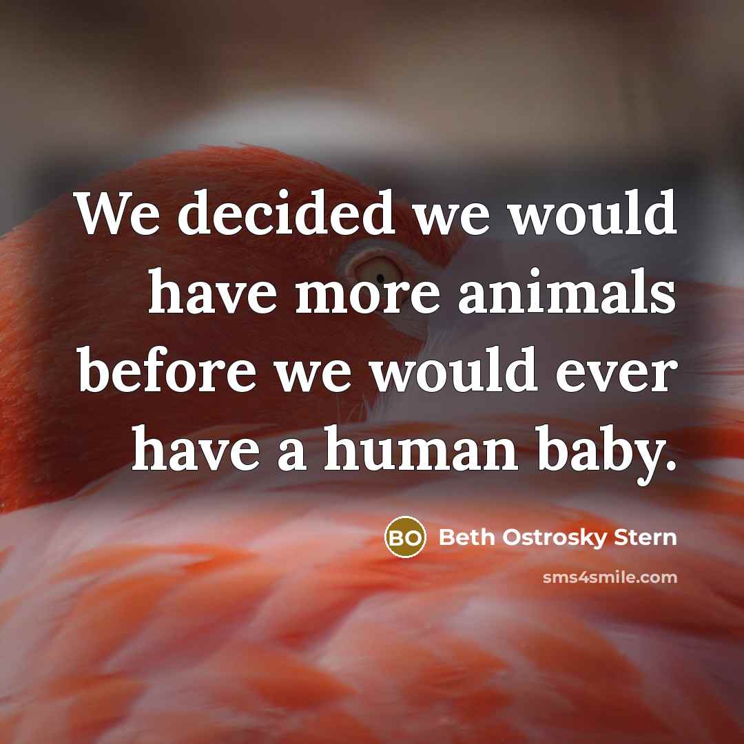 “We decided we would have more animals before we would ever have a human baby.” quote by Beth Ostrosky Stern