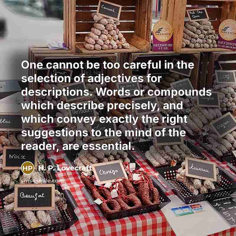 “One cannot be too careful in the selection of adjectives…” quote by H. P. Lovecraft