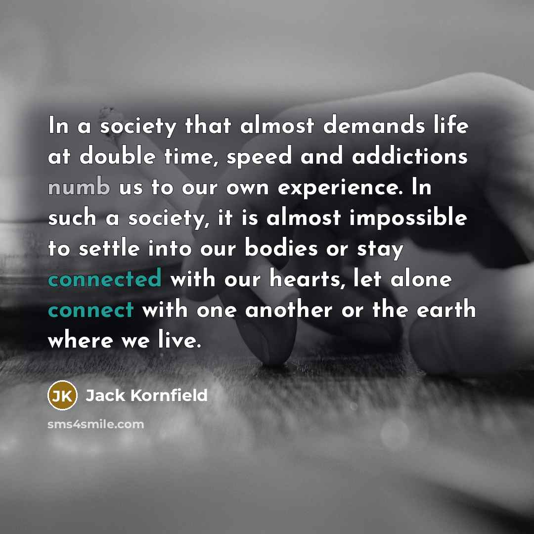 “In a society that almost demands life at double time,…” quote by Jack Kornfield