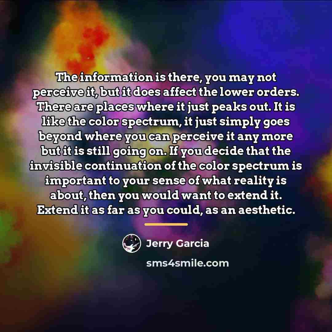 “The information is there, you may not perceive it, but…” quote by Jerry Garcia