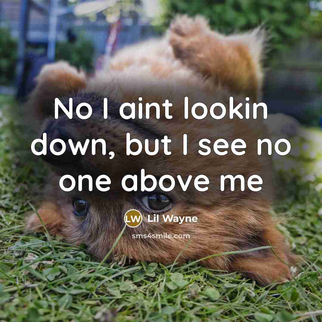“No I aint lookin down, but I see no one…” quote by Lil Wayne