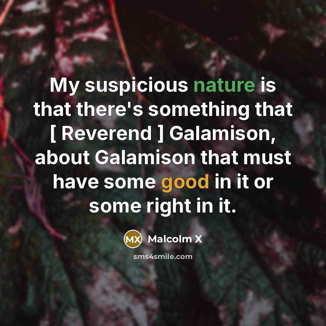 “My suspicious nature is that there's something that [ Reverend…” quote by Malcolm X