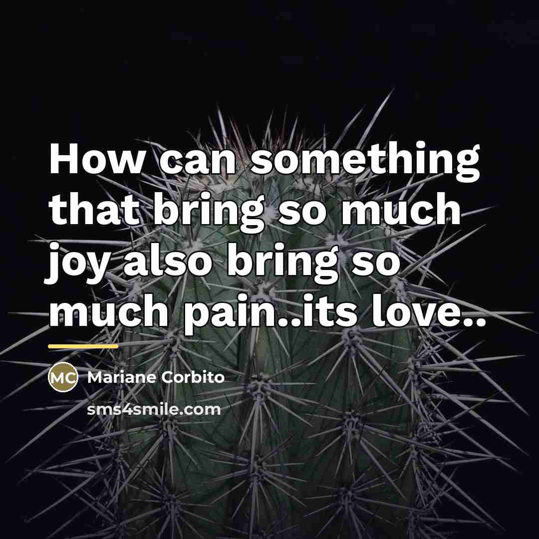 “How can something that bring so much joy also bring…” quote by Mariane Corbito