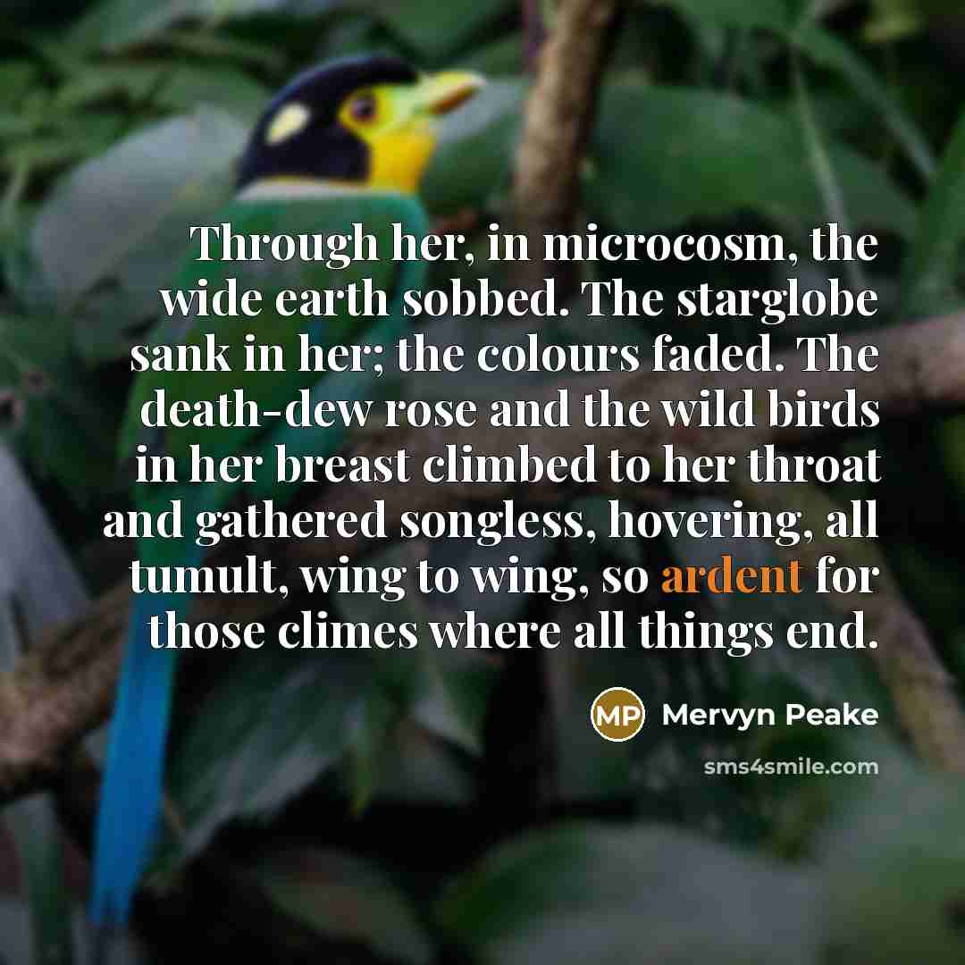 “Through her, in microcosm, the wide earth sobbed. The starglobe…” quote by Mervyn Peake