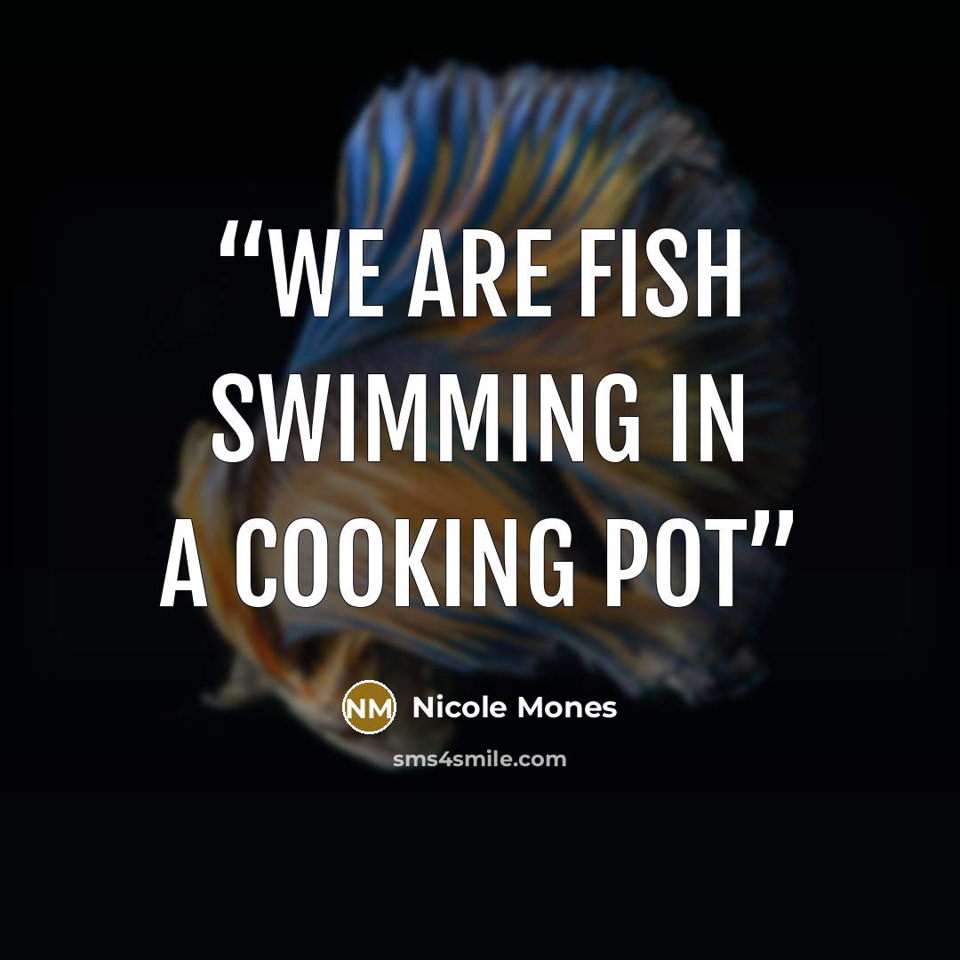 “We are fish swimming in a cooking pot” quote by Nicole Mones