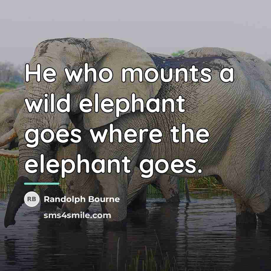 “He who mounts a wild elephant goes where the elephant…” quote by Randolph Bourne