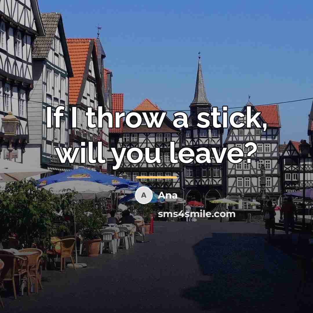 “If I throw a stick, will you leave?…” quote by Ana