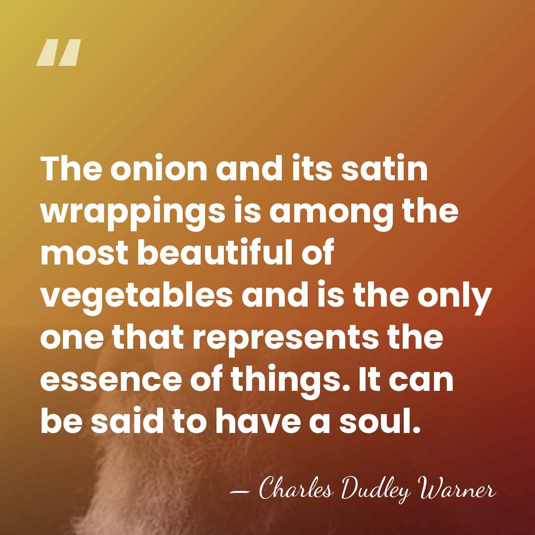 The onion and its satin wrappings is among the most beautiful of&hellip; - Charles Dudley Warner