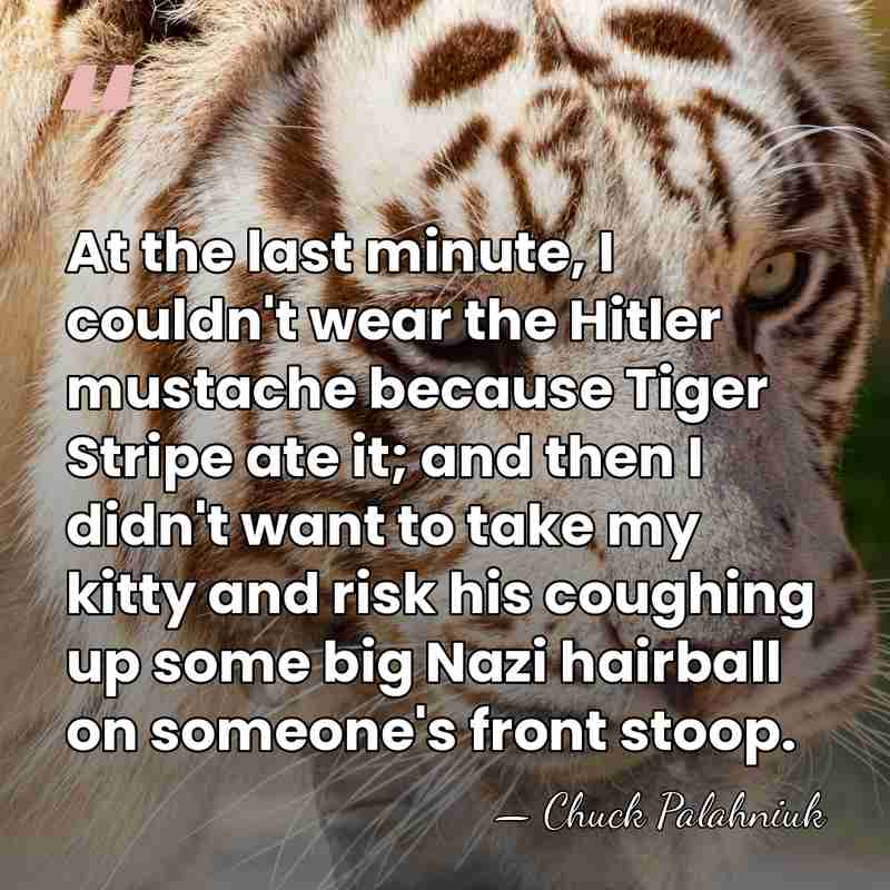 At the last minute, I couldn't wear the Hitler mustache because Tiger&hellip; - Chuck Palahniuk