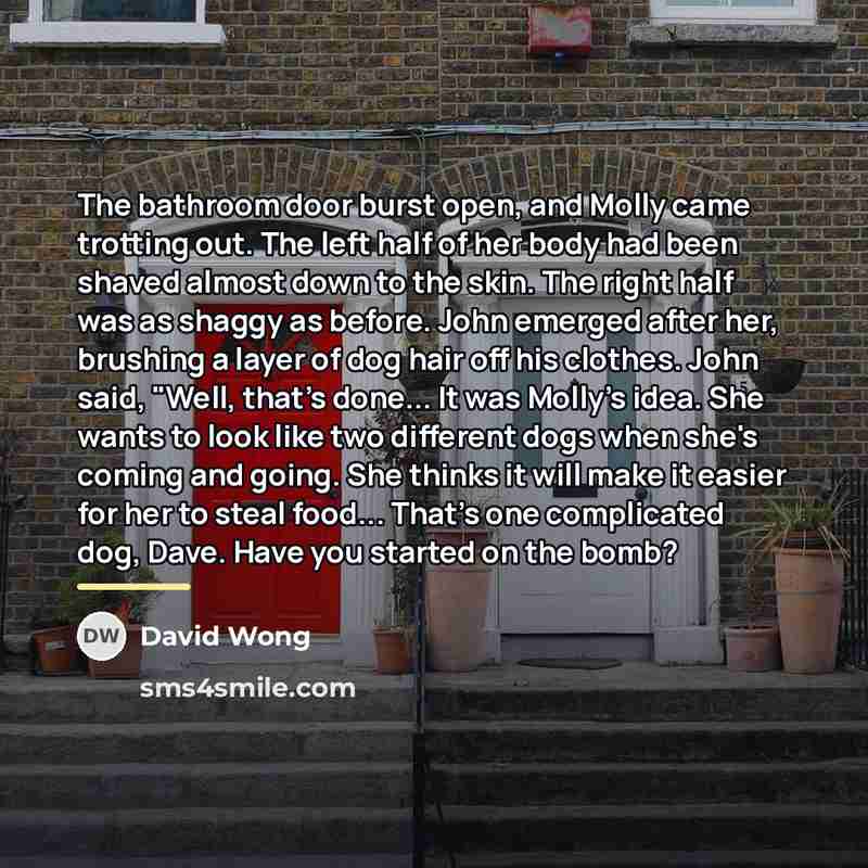 “The bathroom door burst open, and Molly came trotting out.…” quote by David Wong