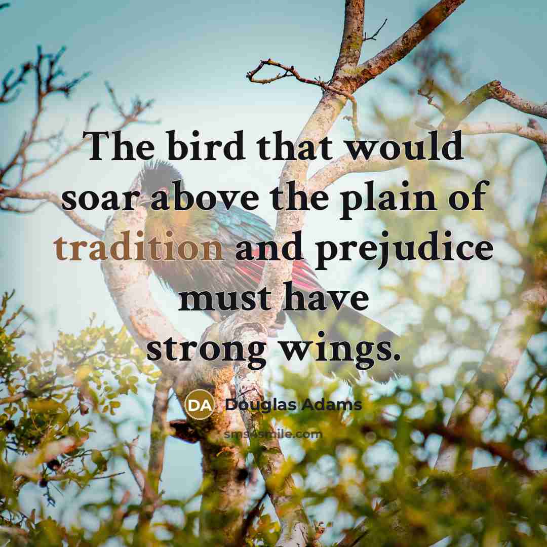 “The bird that would soar above the plain of tradition…” quote by Douglas Adams