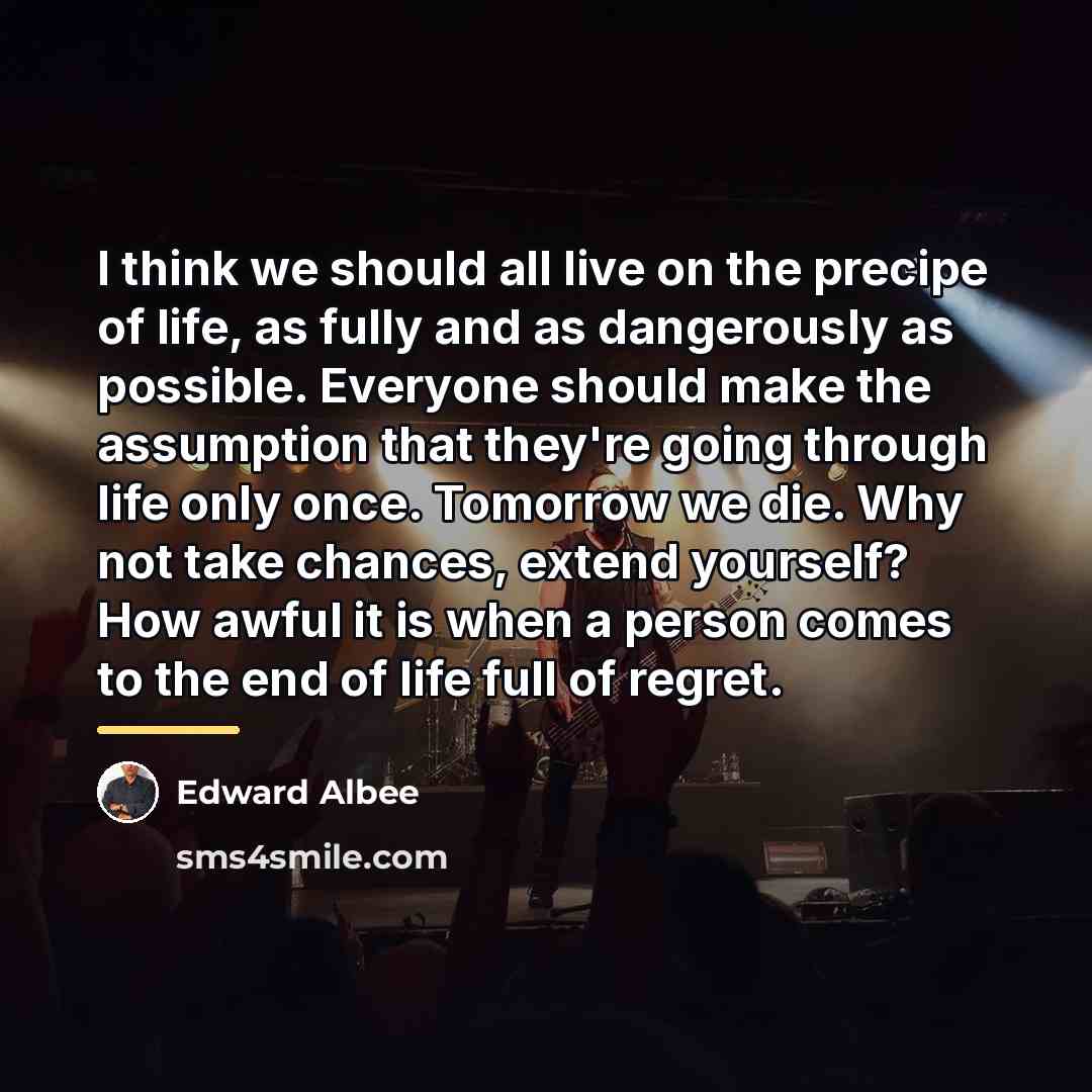 “I think we should all live on the precipe of…” quote by Edward Albee