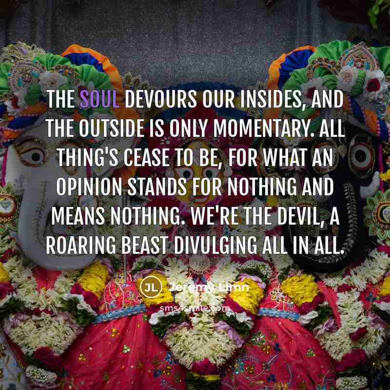 “The soul devours our insides, and the outside is only…” quote by Jeremy Limn
