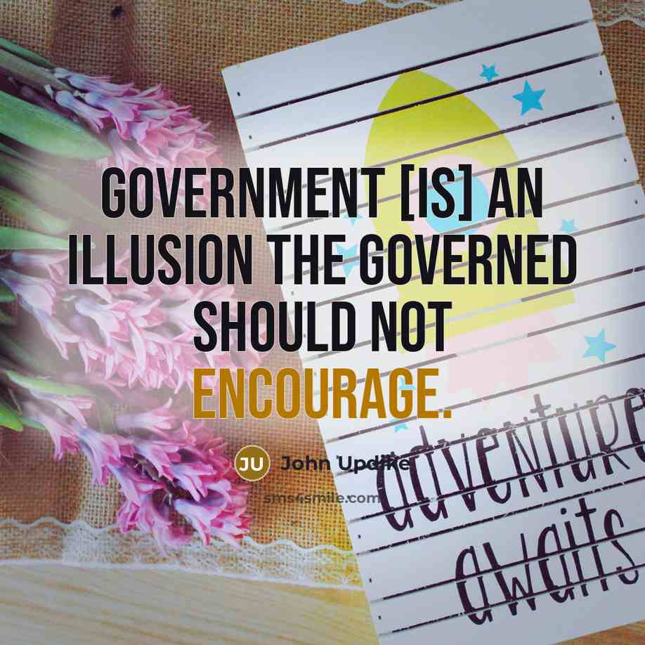 “Government [is] an illusion the governed should not encourage.…” quote by John Updike