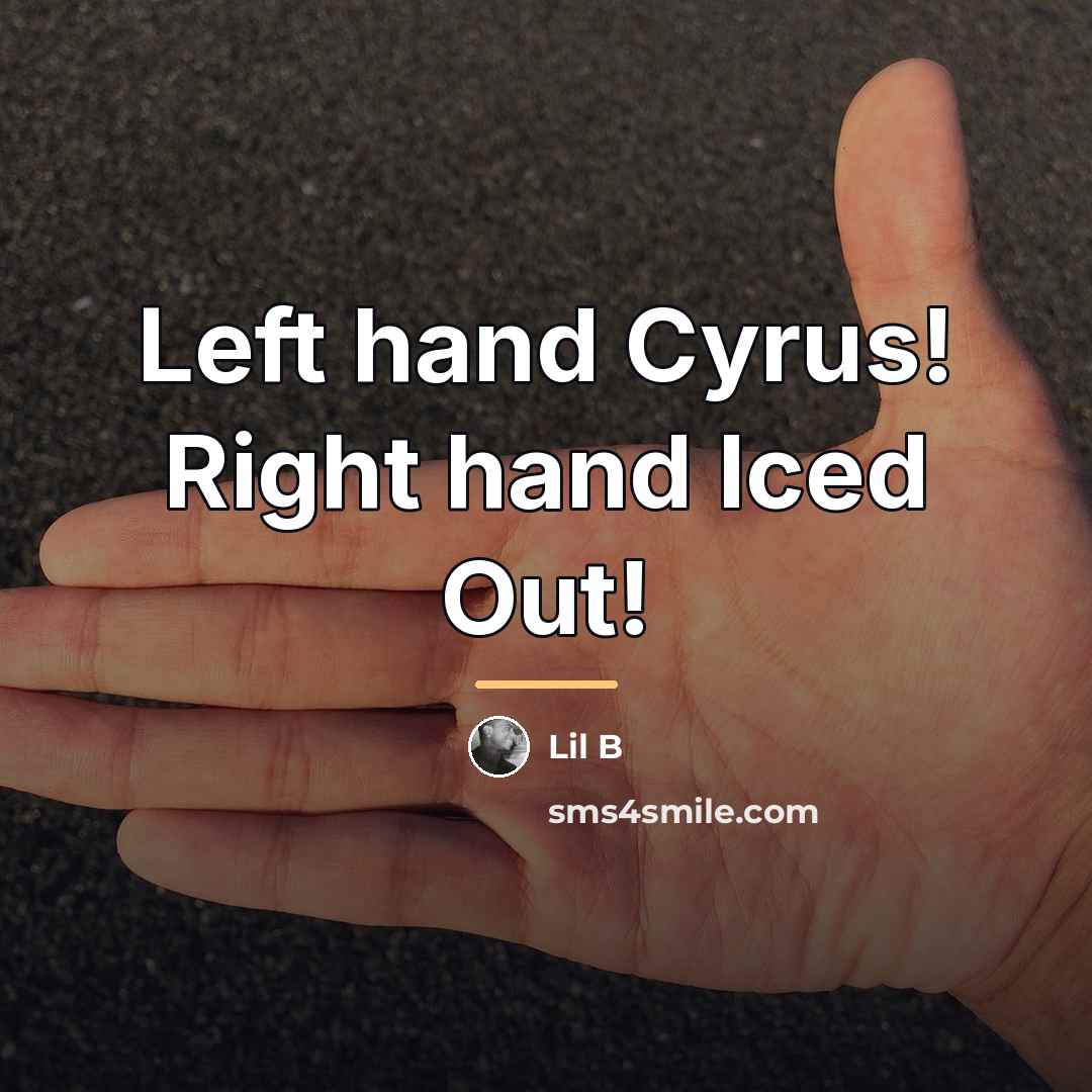 “Left hand Cyrus! Right hand Iced Out!…” quote by Lil B