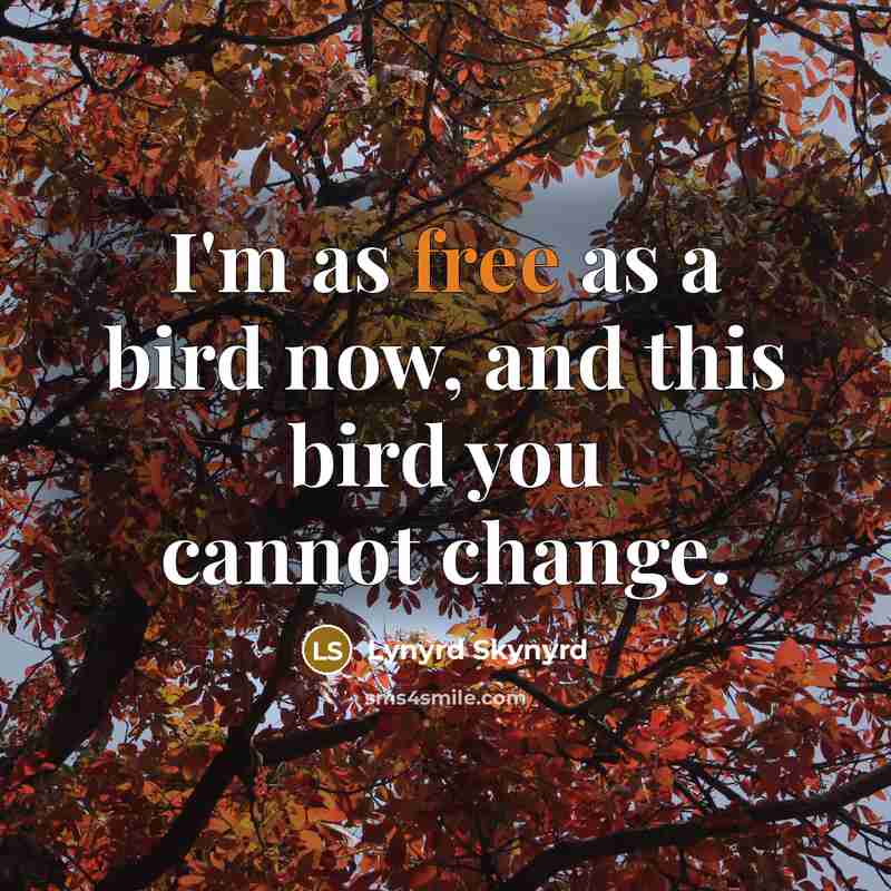 “I'm as free as a bird now, and this bird…” quote by Lynyrd Skynyrd