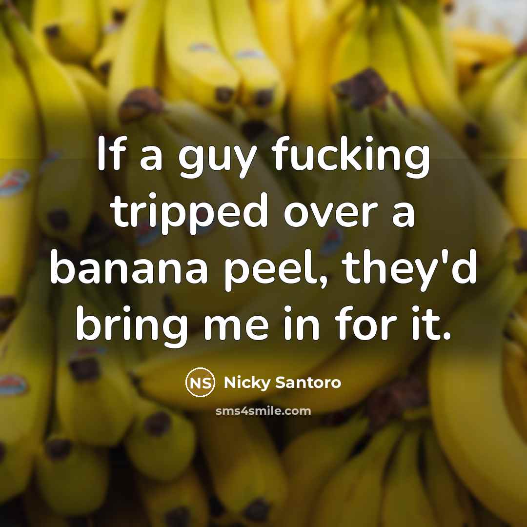 “If a guy fucking tripped over a banana peel, they'd bring me in for it.” quote by Nicky Santoro