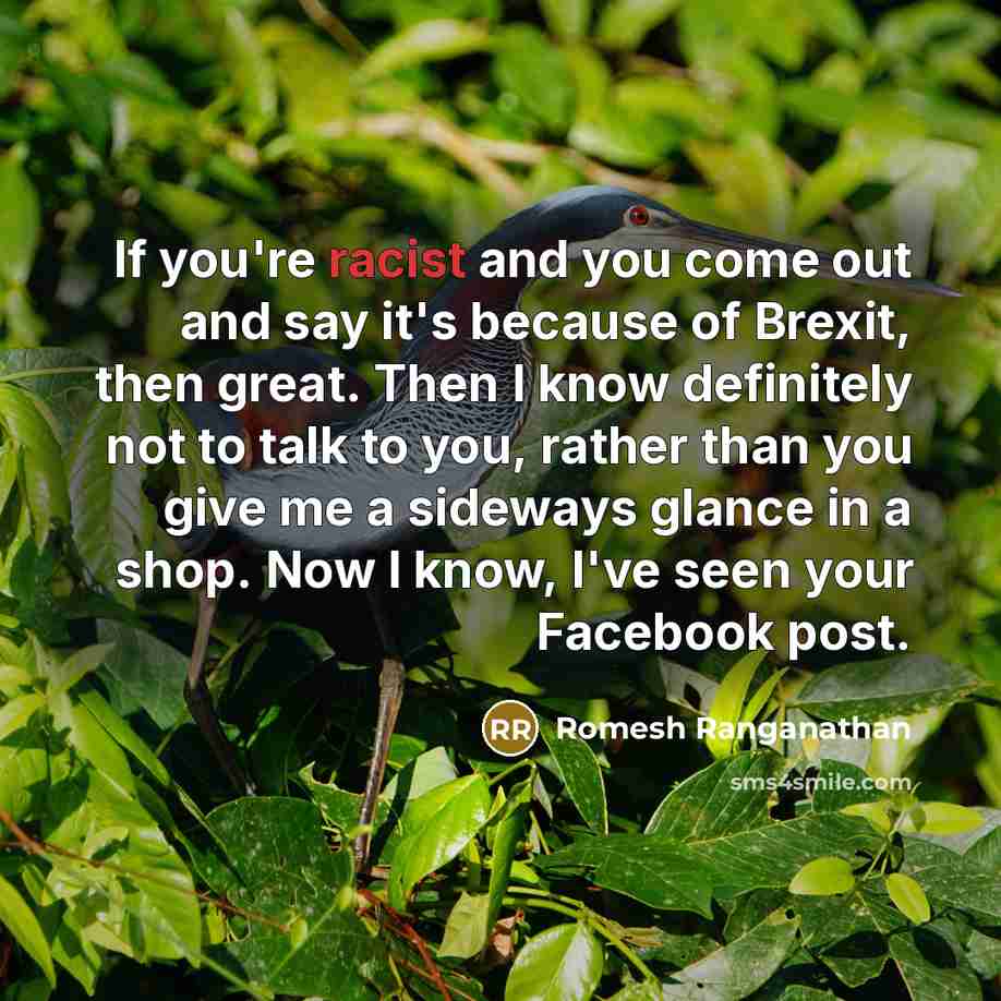 “If you're racist and you come out and say it's…” quote by Romesh Ranganathan