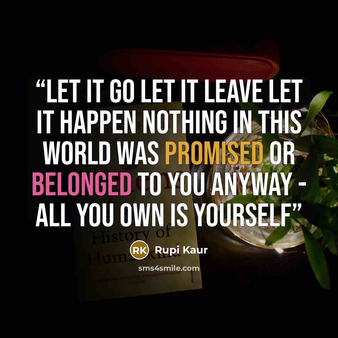 “let it go let it leave let it happen nothing in this world was promised or belonged to you anyway - all you own is yourself” quote by Rupi Kaur
