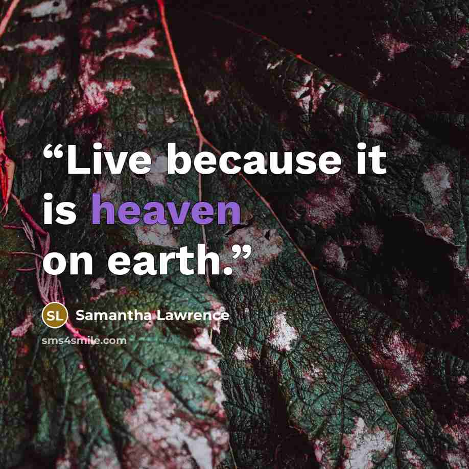 “Live because it is heaven on earth.” quote by Samantha Lawrence