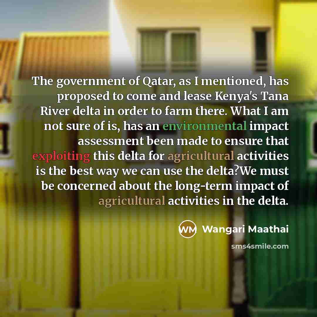 “The government of Qatar, as I mentioned, has proposed to…” quote by Wangari Maathai